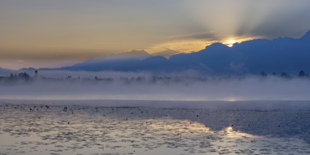 Sunrise at Lake Hopfensee near Füssen, behind Hopfen am See, the Tegelberg massif and the Säuling,