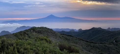 Sunrise, view of Mount Teide from Alto de Garajonay, Tenerife, Garajonay National Park, La Gomera,