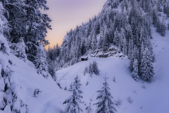 Sunrise snow tour on the Tegelberg in the Allgäu in Bavaria. Winter Wonder Land, Germany, Europe