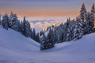 Sunrise snow tour on the Tegelberg in the Allgäu in Bavaria. Winter Wonder Land, Germany, Europe