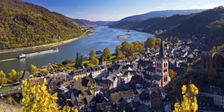 Autumn view of Bacharach on the Rhine with St. Peter's Church, UNESCO World Heritage Upper Middle