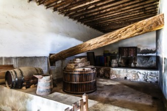 2016, Raimund Franken, Model Release:Not, Property Release: Not Tiagua, Lanzarote, Farm Museum El