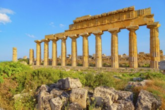 Temple of Apollo or Temple C, Selinunte Archaeological Park, Selinunte, Trapani district, Sicily,