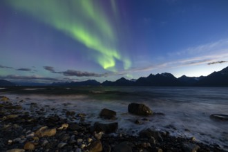 Northern Lights at Lyngenfjord, Lyngen Alps, Lyngen, Troms og Finnmark, Norway, Europe
