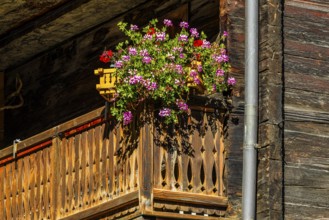 Balcony decorated with flowers, old wooden house, historic village centre, Grimentz, Val