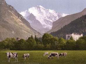 Jungfrau und Jungfraublick Hotel, Bernese Hotel, Switzerland, Historic, digitally restored