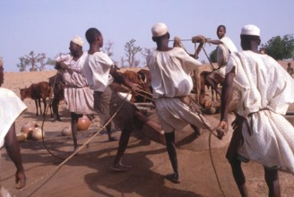 Life in the Sahel region of northern Nigeria, west Africa, early 1980s - men drawing water from a