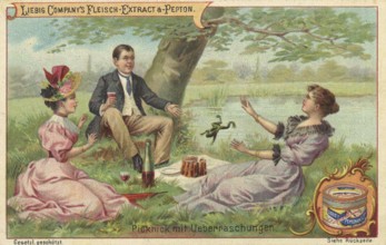 Picture series Scenes from everyday life, picnic with surprise, a frog jumps on the cake, Liebig