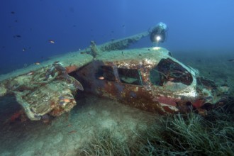 Diver looking at Cessna aircraft wreck underwater on the seabed while scuba diving, Porto Azzurro,