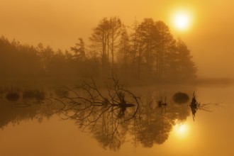 Mystical landscape with reflecting water and sunset atmosphere, Schwenninger moss,