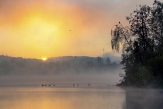 Sunrise, autumnal atmosphere at Lake Baldeney, near Haus Scheppen, in Essen, North