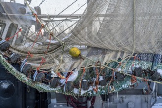 The fishing village of Greetsiel, historic fishing harbour, with the largest shrimp cutter fleet in