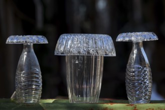 Glass container, covered with glass bowls, Oberallgäu, Allgäu, Bavaria, Germany, Europe