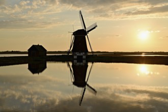 Historic windmill in the light of the setting sun, De Traanroeier, Het Noorden Molen, Texel, North
