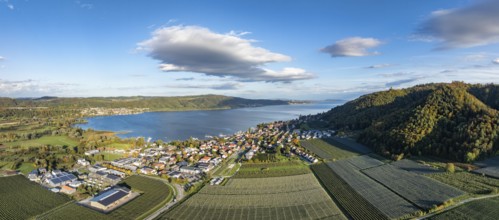 Aerial view, panorama of the village of Bodman on the shore of Lake Überlingen, the northwestern