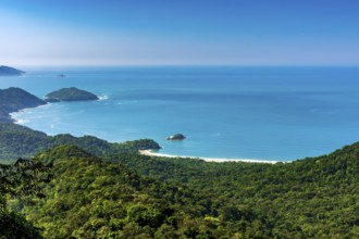 Arrival at Castelhanos beach in Ilhabela via a trail through the forest with the sea just below,