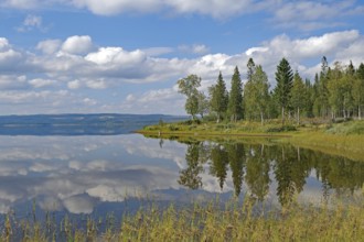 A calm lake reflects the cloudy sky and the neighbouring forest, Jämtland, Sweden, Europe