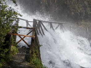 Powerful waterfall flooding a wooden bridge, Reserva Biológica Huilo Huilo, Chile, South America