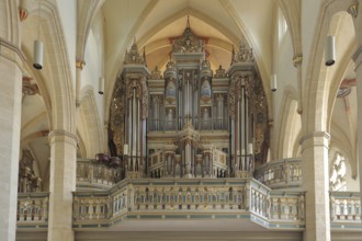 Organ of the Gothic Predigerkirche, interior view, gallery, Erfurt, Thuringia, Germany, Europe