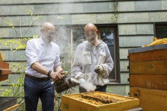 Jens Ardelt and State Secretary Thomas Kralinski hiving a beehive. Since the beginning of 2023,