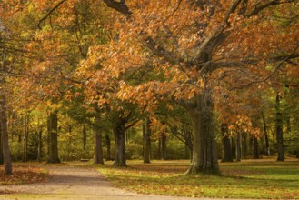 The Great Garden in Dresden is a park of Baroque origin. The Great Garden has been remodelled many