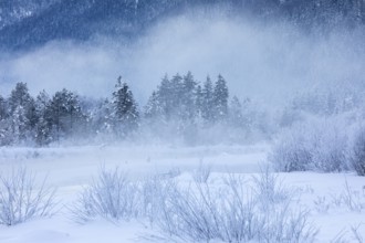 Isar valley in winter at temperatures of minus 18 degrees Celsius. Snow covered landscape with the