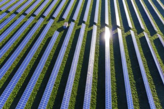 Aerial view over blue solar panels of photovoltaic power station, solar park for the supply of