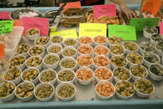 Fishmonger display of varieties of shellfish on ice sale