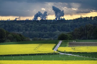 View over Mülheim an der Ruhr, Ickten, rape fields, over the Ruhr heights, to Duisburg-Hüttenheim,
