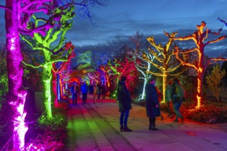 Parkleuchten, event in winter, in the Grugapark in Essen, many different light installations,