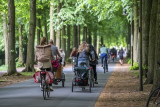 Promenade cycle path, tree-lined, car-free, approximately 4.5 km long ring road around the city