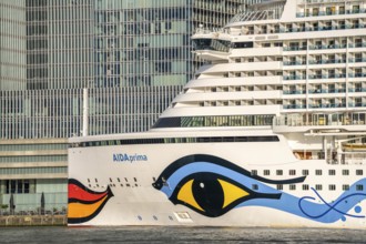 Rotterdam, skyline at the Nieuwe Maas, skyscrapers at the Kop van Zuid district, cruise ship Aida