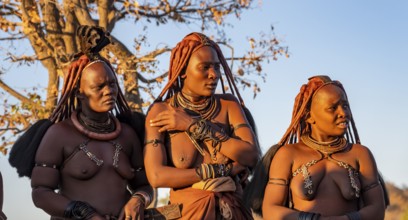 Three traditional Himba woman, portraits, in the evening light, near Opuwo, Kaokoveld, Kunene,