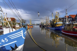 Cutter harbour Neuharlingersiel, shrimp cutter, East Frisia, Lower Saxony, Germany, Europe