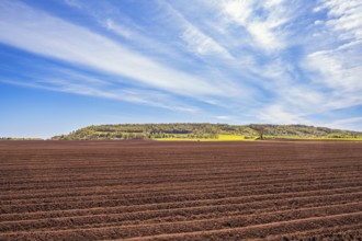 Plowed field in the countryside by a table mountain that is part of the Unesco geopark, Ålleberg,