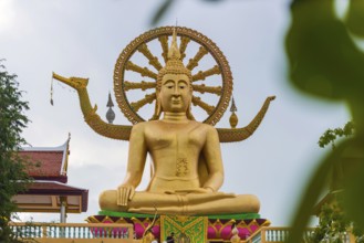 Sitting Buddha at Wat Phra Yai, Buddhist Temple, Big Buddha Temple, religion, Buddhism, figure,