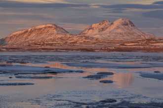 Morning light on Bergen on the coast, icy fjord, Breiddalsvik, East Fjords, Iceland, Europe