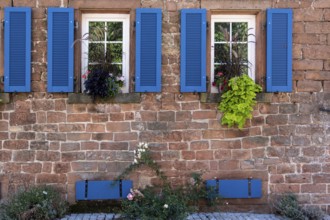 Rustic house façade with windows, blue shutters and flowering plants, Weyher, Southern Palatinate,