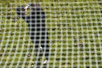 Golfer Training on Driving Range Behind a Net