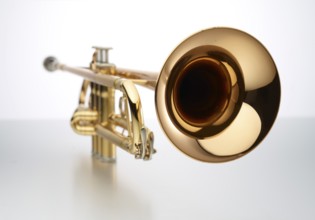 Trumpet in front of a white background, studio shot