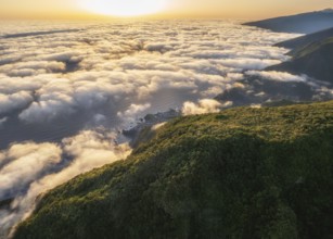 Aerial view of sunrise above clouds and green hills at Fanal mountain, Madeira island, Portugal,