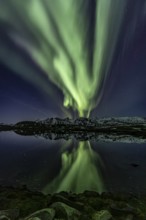 Yellow and green northern lights reflected in fjord, steep mountains, aurora borealis, winter,