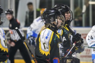 07.12.2024: German Women's Ice Hockey League, 2024/25 season: Mad Dogs Mannheim vs ERC Ingolstadt
