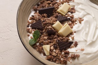 Yogurt with chocolate muesli, breakfast, close-up, fork on top, no people