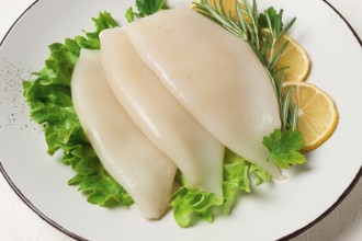 Frischer Körper, Tintenfisch, roh, drei Karkassen, Draufsicht, ohne Personen, auf einem Teller
