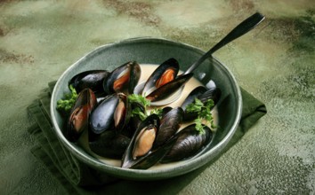 Mussels in shells, in creamy garlic sauce, mussels in bechamel sauce, homemade, no people