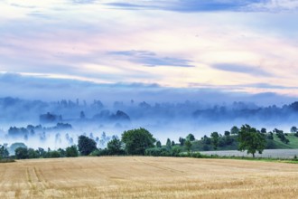 Morning mist in a rural landscape in a valley by a field in late summer