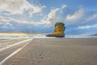 Rock formation shaped like a boot, Punakaiki, Paparoa National Park, South Island, New Zealand,