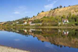 On the Elbe near Meißen opposite Karpfenschänke, Meißen, Saxon Elbland, Saxony, Germany, Europe