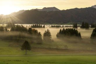 Idyllic landscape at sunrise with mountains, trees and light fog, near Füssen, Ostallgäu, Allgäu,